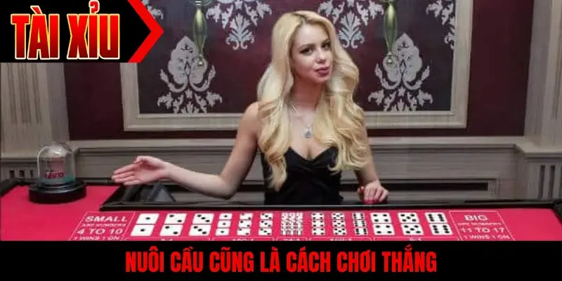 Nuôi cầu cũng là cách chơi thắng