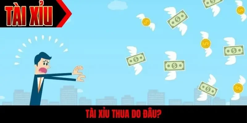 Tài xỉu thua do đâu