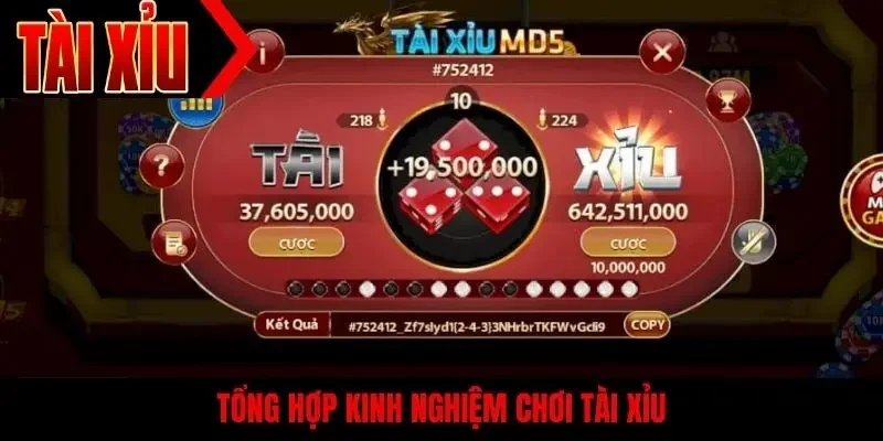 Tổng hợp kinh nghiệm chơi tài xỉu
